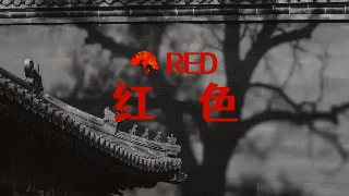 12.gif